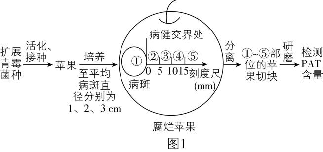 试题资源网 https://stzy.com