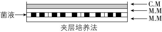 试题资源网 https://stzy.com