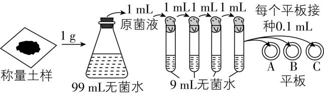 试题资源网 https://stzy.com