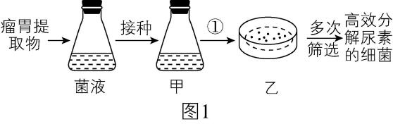 试题资源网 https://stzy.com