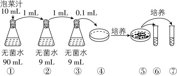 试题资源网 https://stzy.com