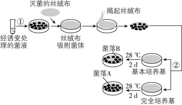 试题资源网 https://stzy.com