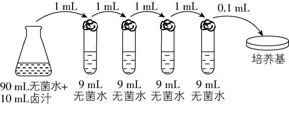 试题资源网 https://stzy.com