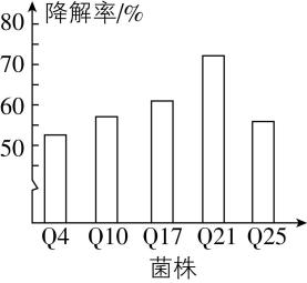 试题资源网 https://stzy.com
