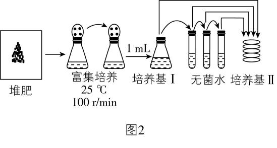 试题资源网 https://stzy.com