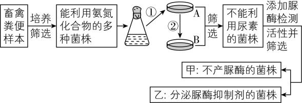 试题资源网 https://stzy.com