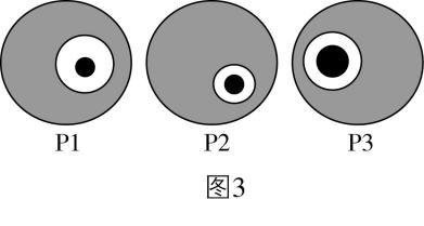 试题资源网 https://stzy.com