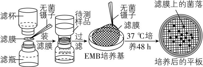 试题资源网 https://stzy.com
