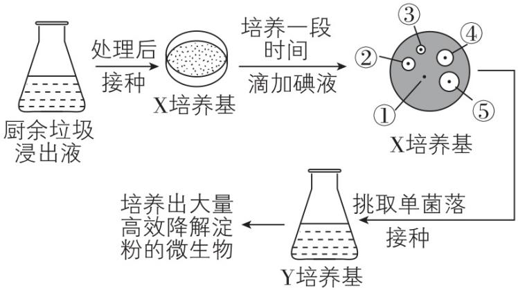 试题资源网 https://stzy.com