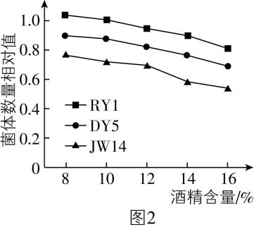 试题资源网 https://stzy.com