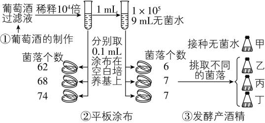 试题资源网 https://stzy.com