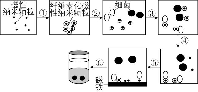 试题资源网 https://stzy.com