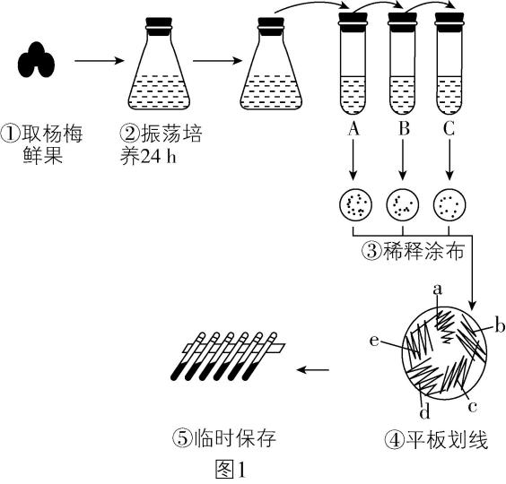 试题资源网 https://stzy.com
