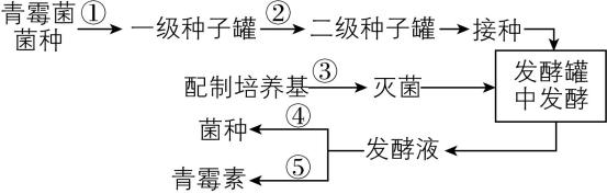 试题资源网 https://stzy.com