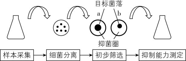 试题资源网 https://stzy.com
