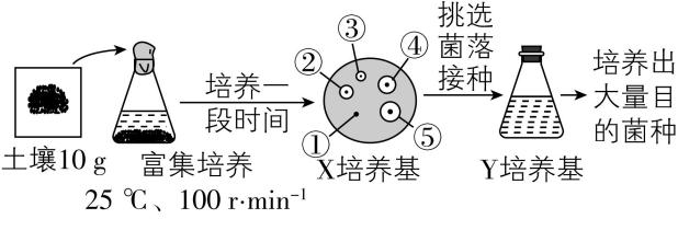 试题资源网 https://stzy.com
