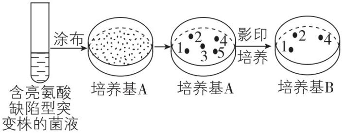 试题资源网 https://stzy.com
