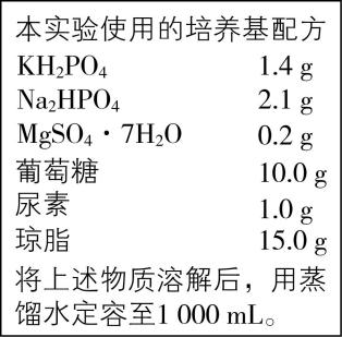 试题资源网 https://stzy.com