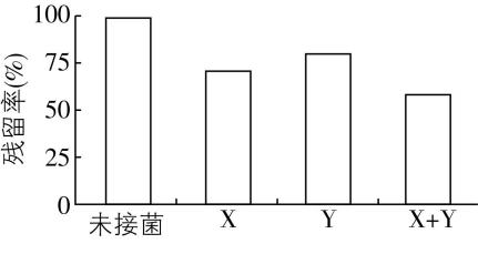 试题资源网 https://stzy.com