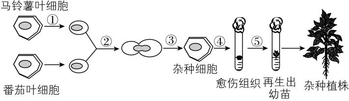 试题资源网 https://stzy.com
