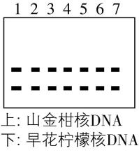 试题资源网 https://stzy.com