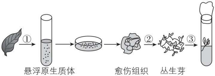 试题资源网 https://stzy.com