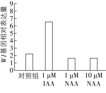 试题资源网 https://stzy.com