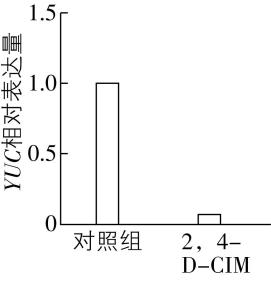 试题资源网 https://stzy.com