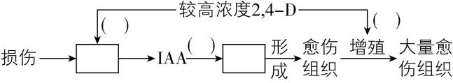 试题资源网 https://stzy.com