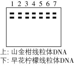 试题资源网 https://stzy.com