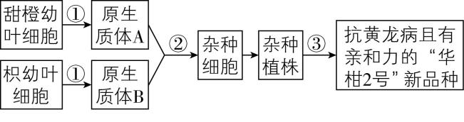 试题资源网 https://stzy.com