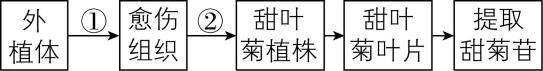 试题资源网 https://stzy.com