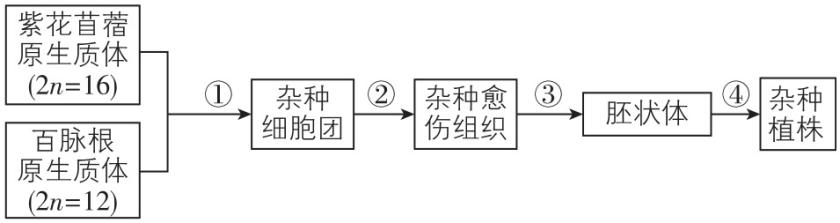 试题资源网 https://stzy.com