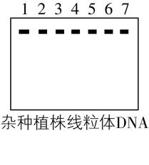 试题资源网 https://stzy.com