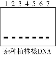 试题资源网 https://stzy.com