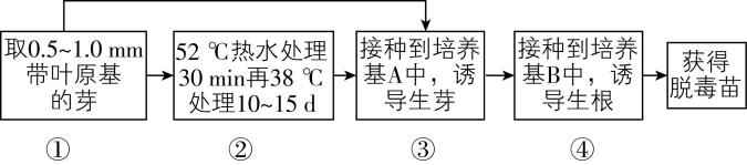 试题资源网 https://stzy.com