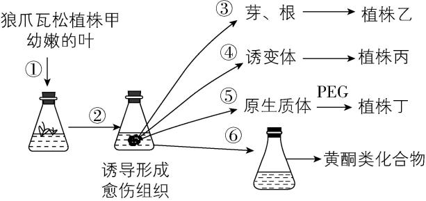 试题资源网 https://stzy.com