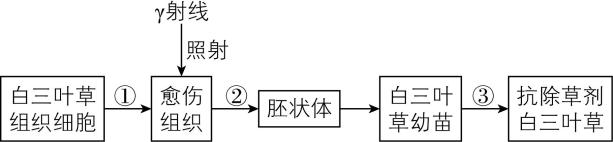试题资源网 https://stzy.com