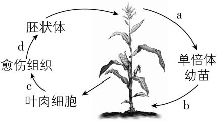 试题资源网 https://stzy.com