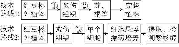 试题资源网 https://stzy.com