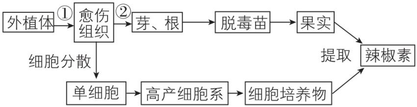 试题资源网 https://stzy.com