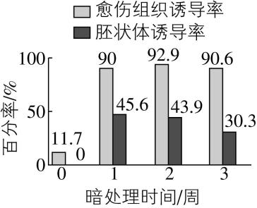 试题资源网 https://stzy.com