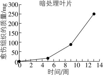 试题资源网 https://stzy.com