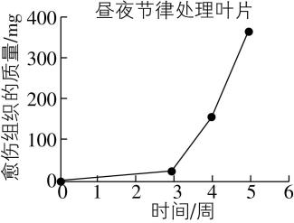 试题资源网 https://stzy.com