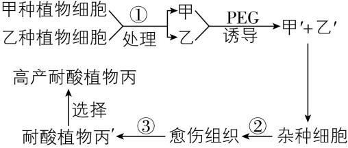 试题资源网 https://stzy.com