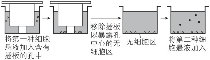 试题资源网 https://stzy.com