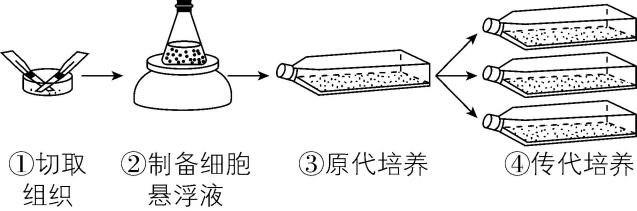 试题资源网 https://stzy.com