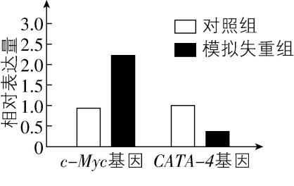 试题资源网 https://stzy.com