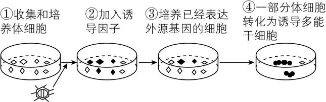 试题资源网 https://stzy.com