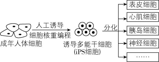 试题资源网 https://stzy.com
